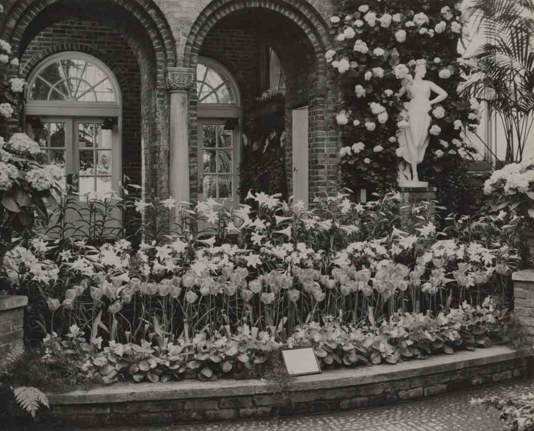 Spring Flower Show 1949