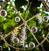Winter Flower Show: Home for the Holidays Winter Flower Show: Home for the Holidays
