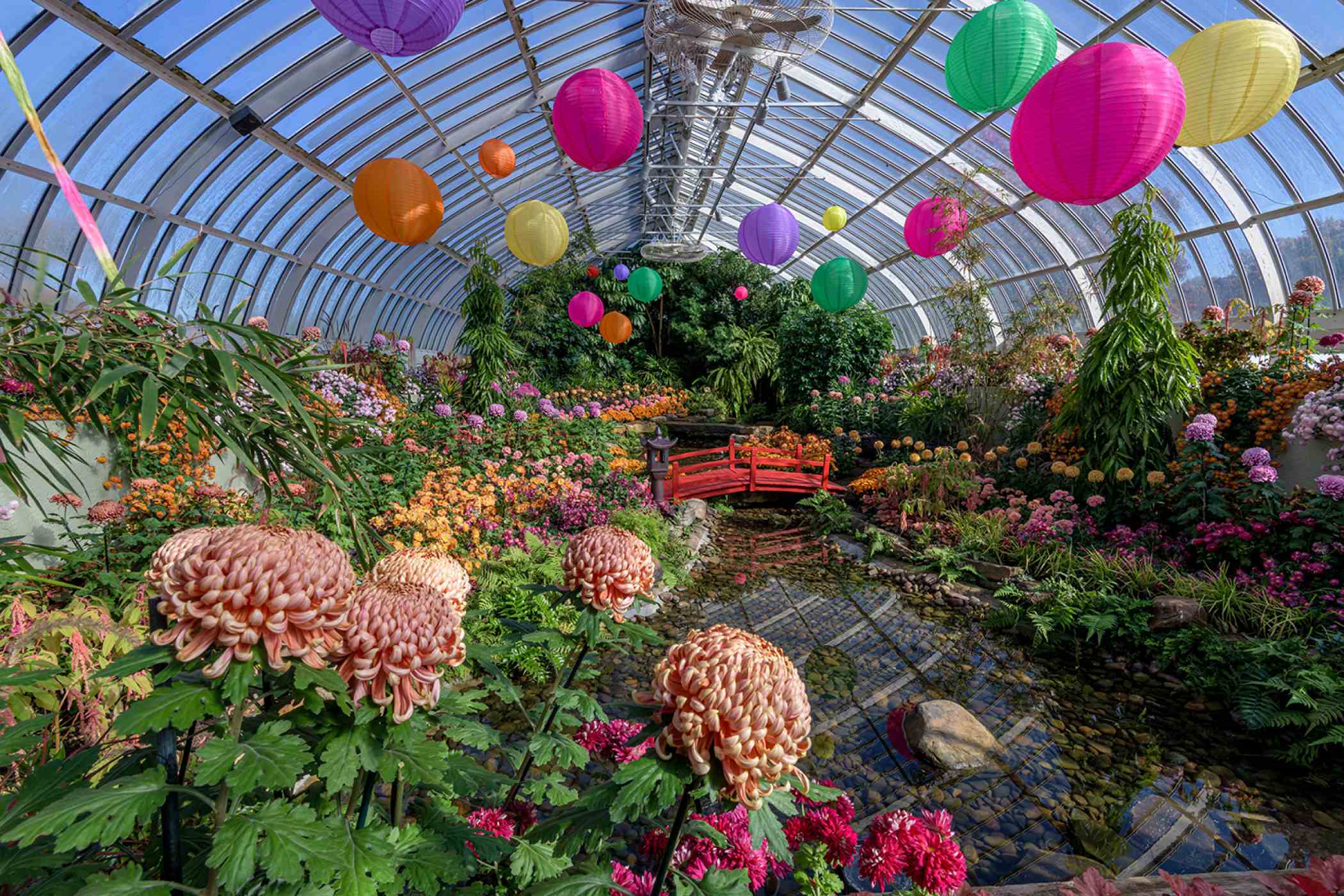 Fall Flower Show 2019 Japanese Inspirations Phipps Conservatory and