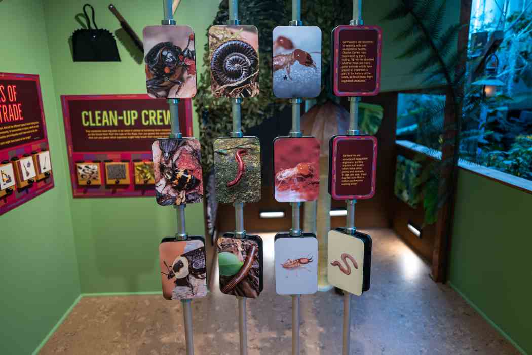 Tropical Forest Panama