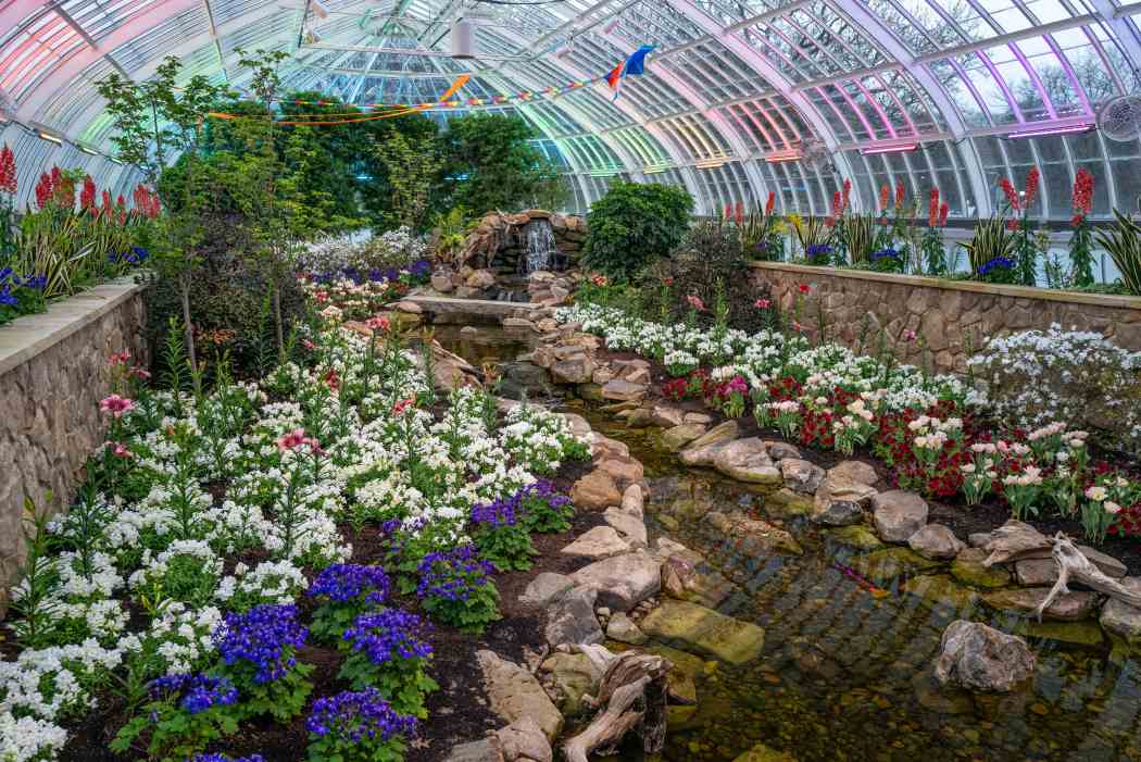 Spring Flower Show 2025: A Bloom for Every Room