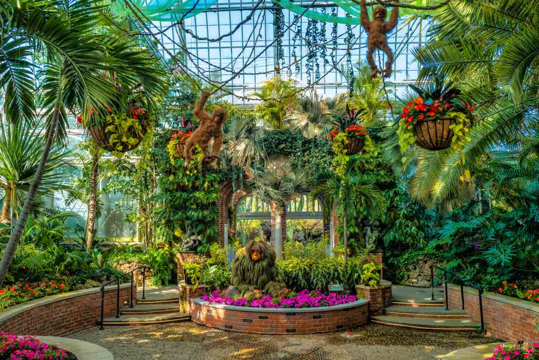Summer Flower Show 2025: Jungle Quest