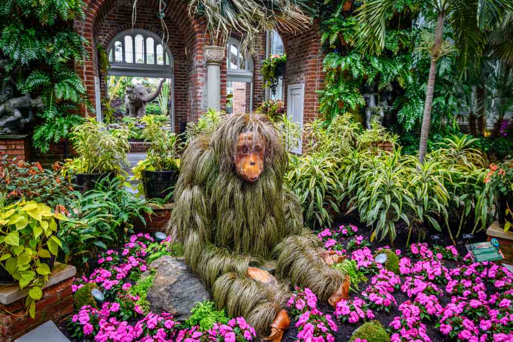 Summer Flower Show 2025: Jungle Quest