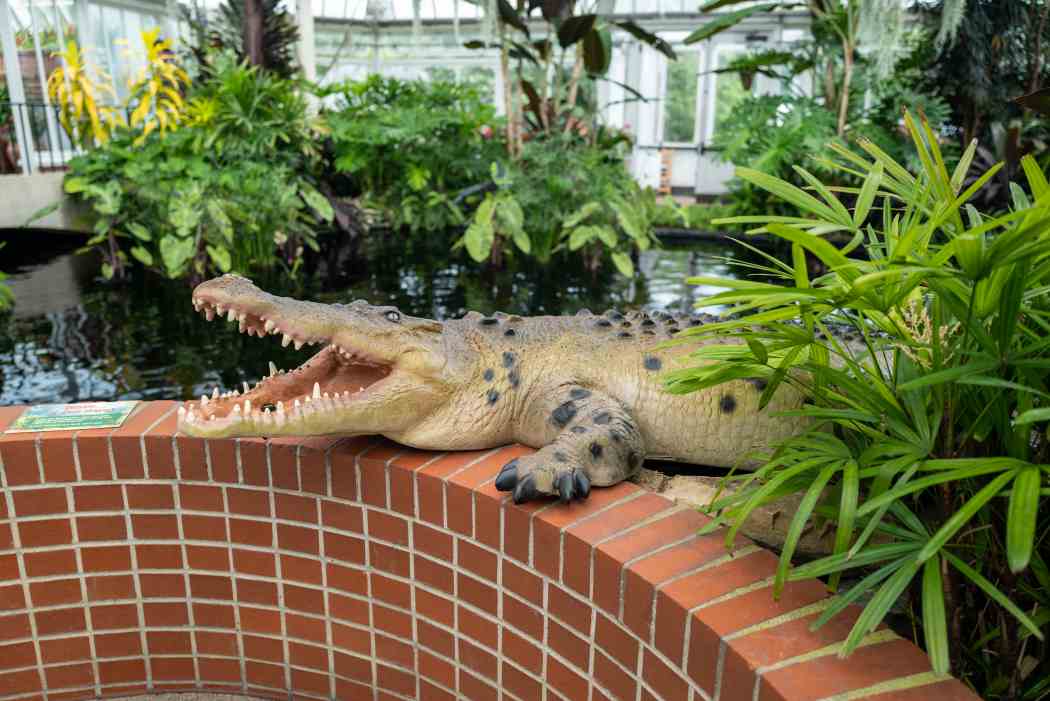 Summer Flower Show 2025: Jungle Quest