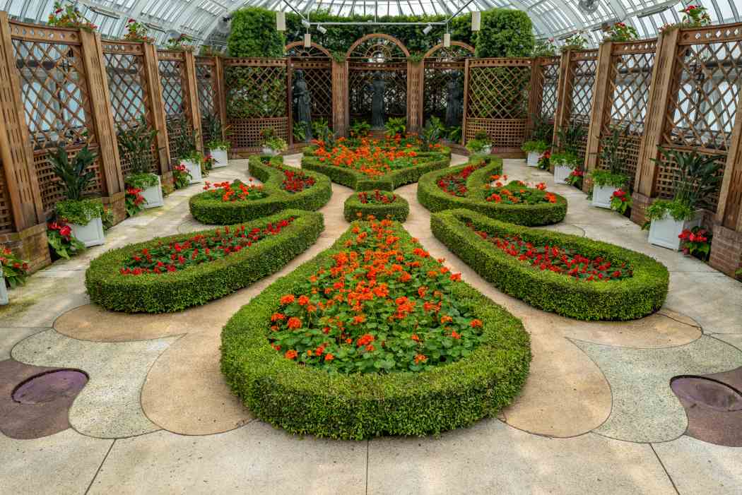 Summer Flower Show 2025: Jungle Quest