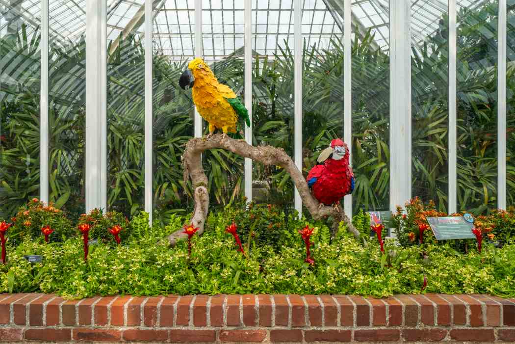 Summer Flower Show 2025: Jungle Quest