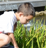 BioBlitz Family Fun Festival