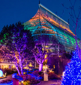 Phipps Holiday Magic Phipps Holiday Magic