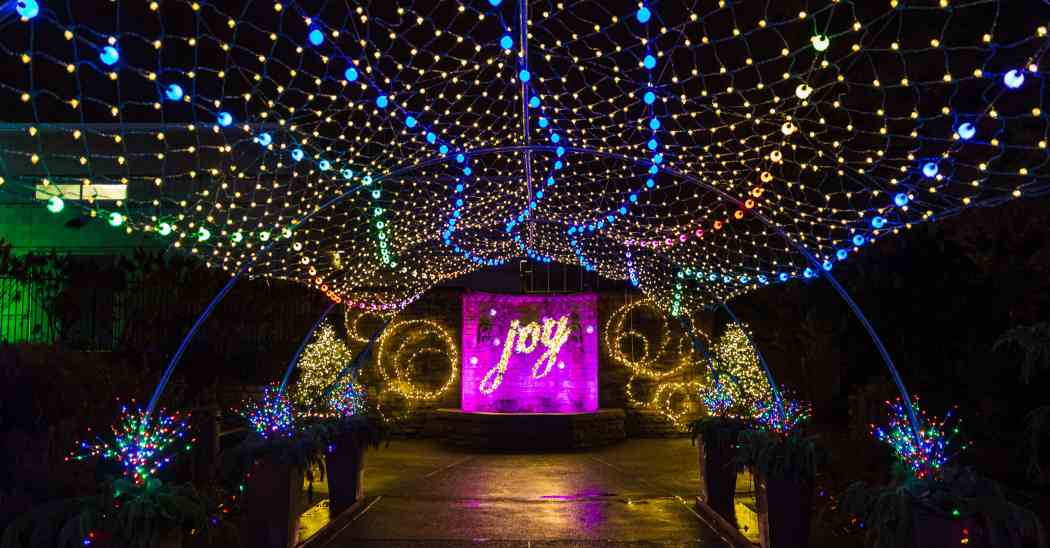 Winter Flower Show and Light Garden 2022: Holiday Magic! Arctic Adventure Winter Flower Show and Light Garden 2022: Holiday Magic! Arctic Adventure
