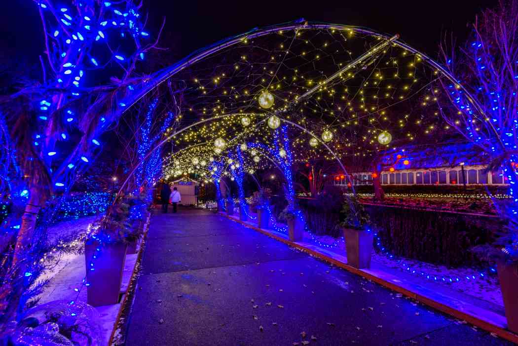 Winter Flower Show and Light Garden 2017: Holiday Magic! Winter Flower Show and Light Garden 2017: Holiday Magic!