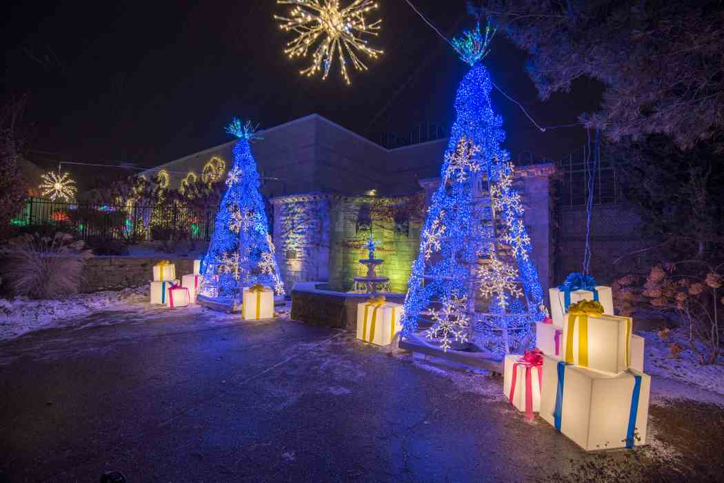 Winter Flower Show and Light Garden 2017: Holiday Magic!