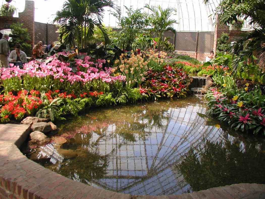 Spring Flower Show 2006: In the Tropics