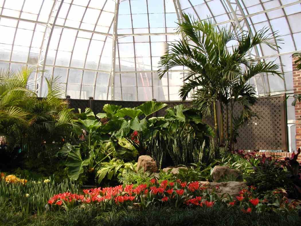 Spring Flower Show 2006: In the Tropics