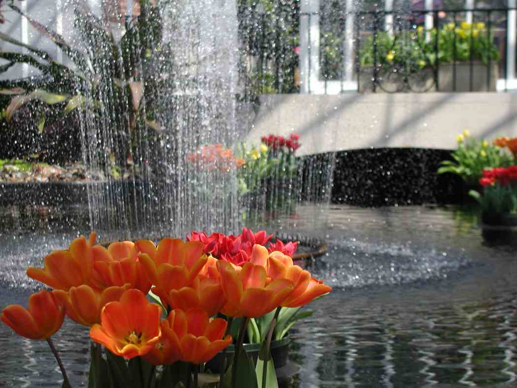 Spring Flower Show 2006: In the Tropics