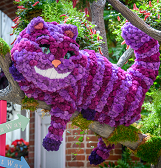 Fall Flower Show: Alice’s Adventures in Autumn