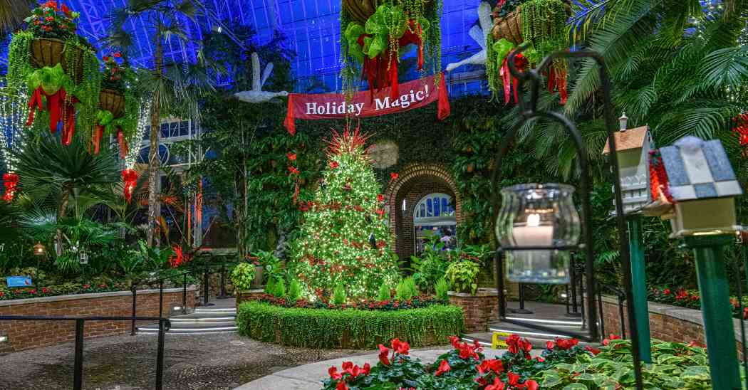Winter Flower Show 2025: Phipps Holiday Magic