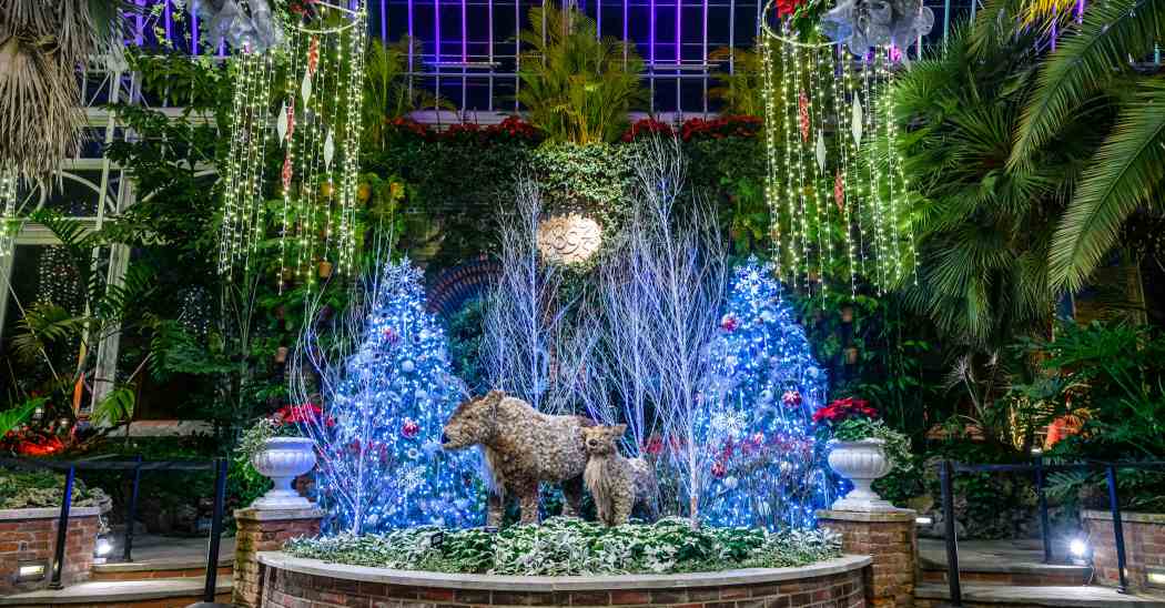 Winter Flower Show and Light Garden 2022: Holiday Magic! Arctic Adventure