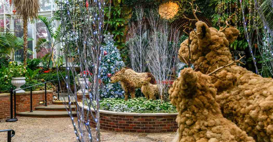 Winter Flower Show and Light Garden 2022: Holiday Magic! Arctic Adventure