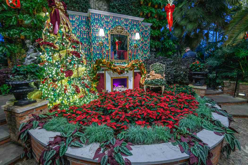 Winter Flower Show and Light Garden 2023: Holiday Magic! Season’s Greenings