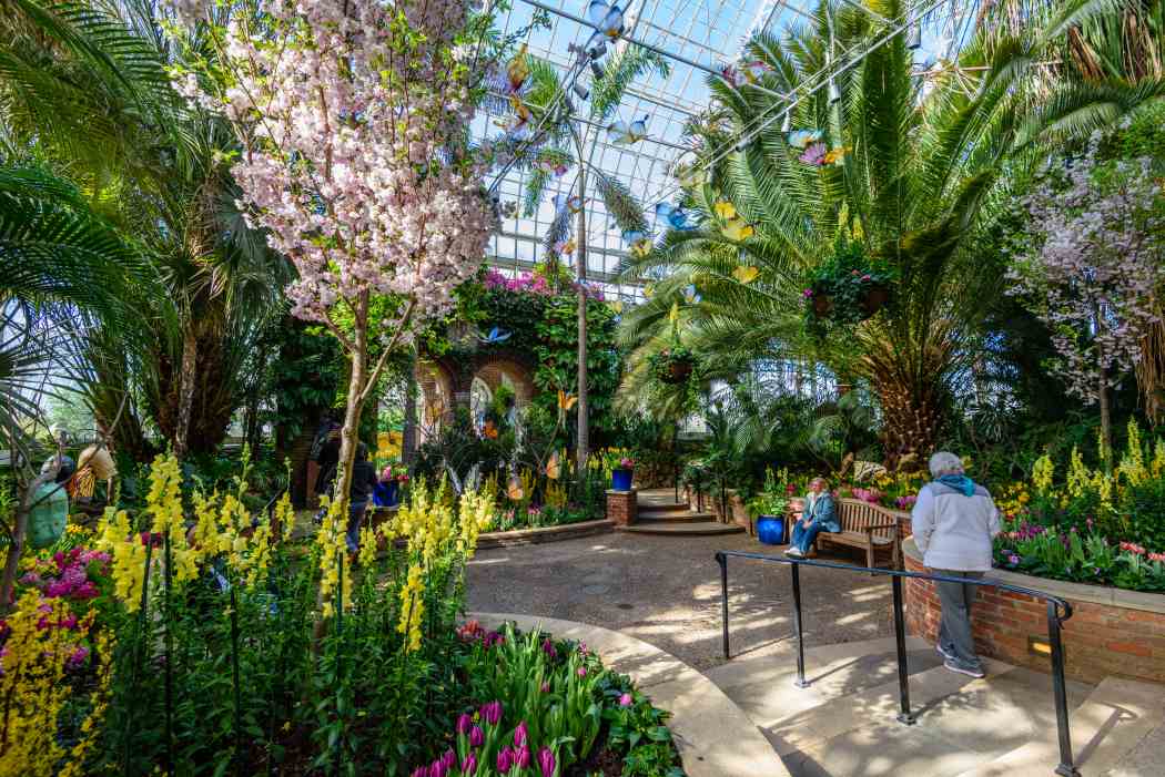 Spring Flower Show 2017: Enchanted Forest