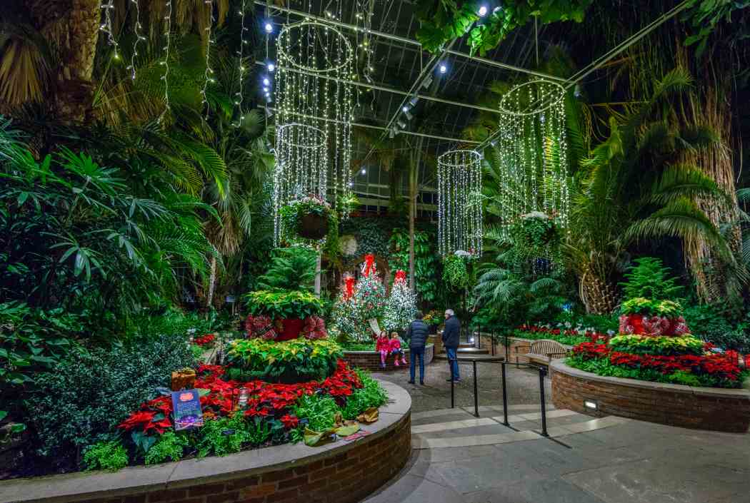 Winter Flower Show and Light Garden 2017: Holiday Magic!