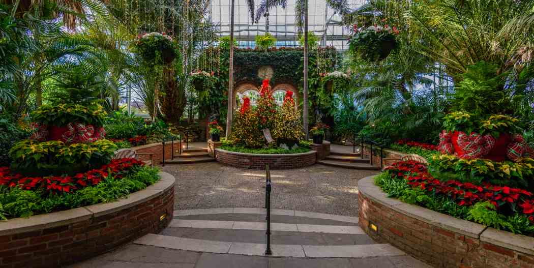 Image Result For Winter Park Botanical Gardens Image Result For Winter Park Botanical Gardens
