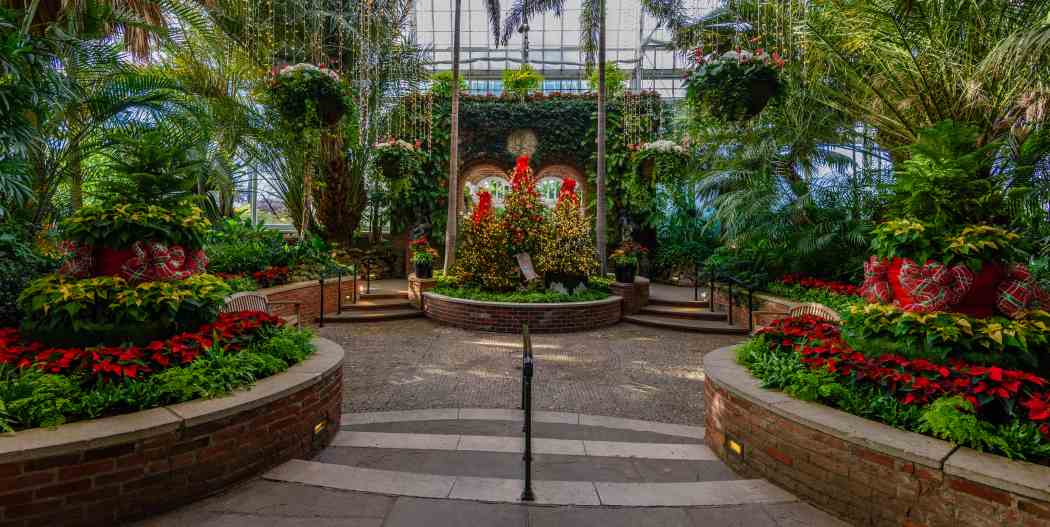 Winter Flower Show and Light Garden 2017: Holiday Magic!