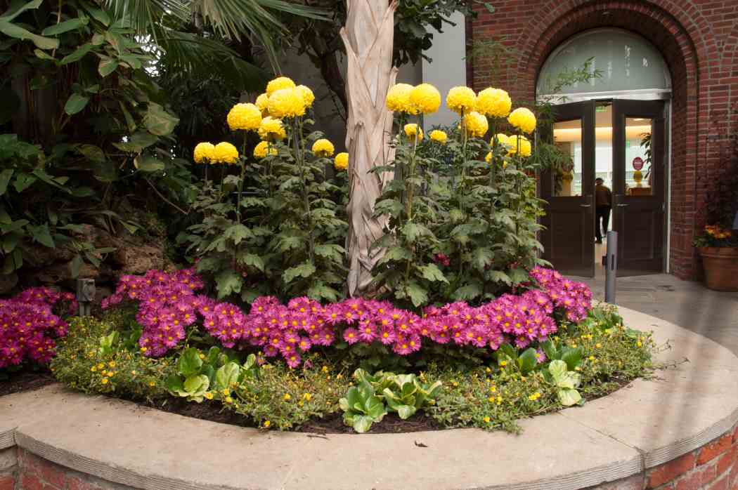 Fall Flower Show 2005: An Autumn Mosaic