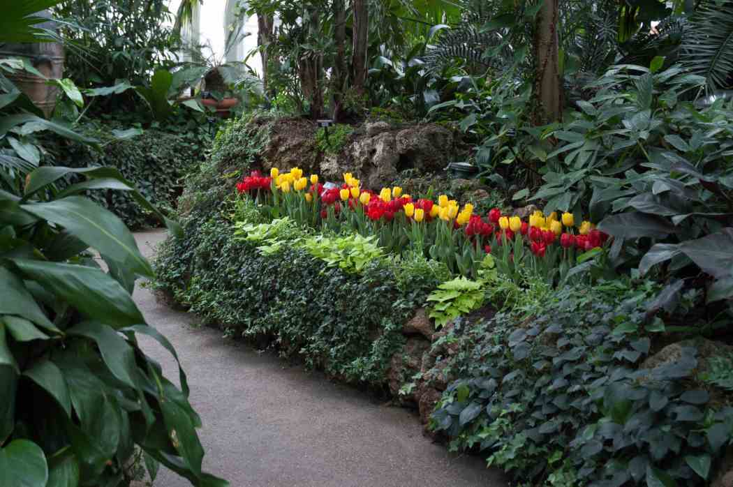 Spring Flower Show 2004: Splashes of Spring