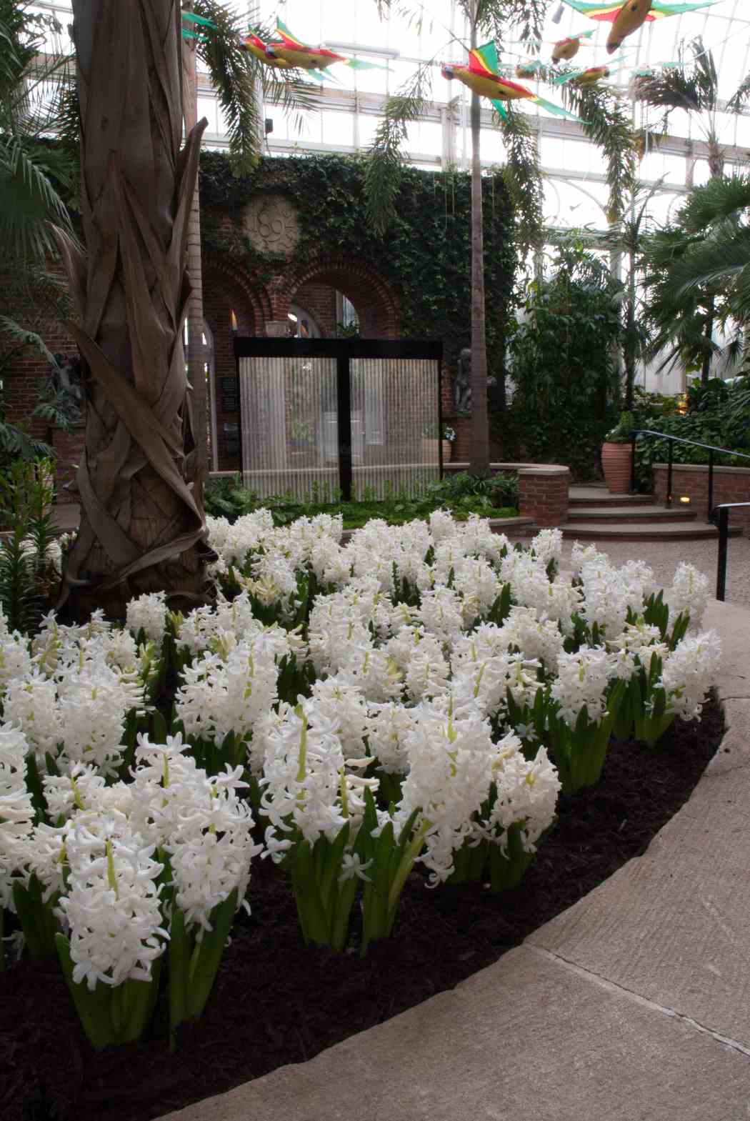 Spring Flower Show 2006: In the Tropics