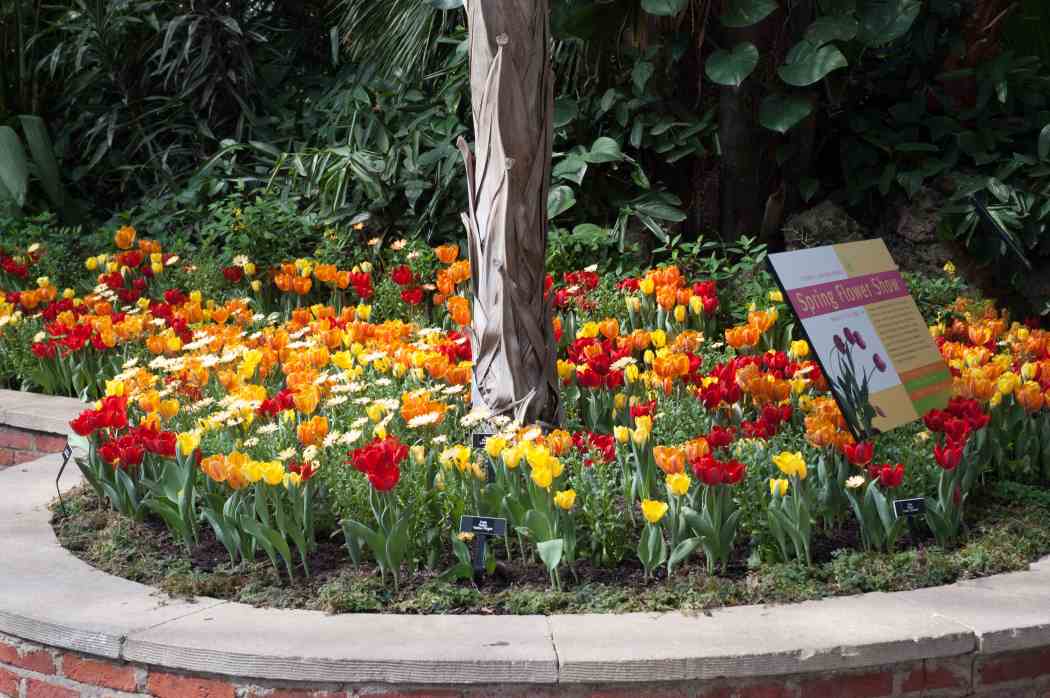 Spring Flower Show 2005: Colorful New Beginnings