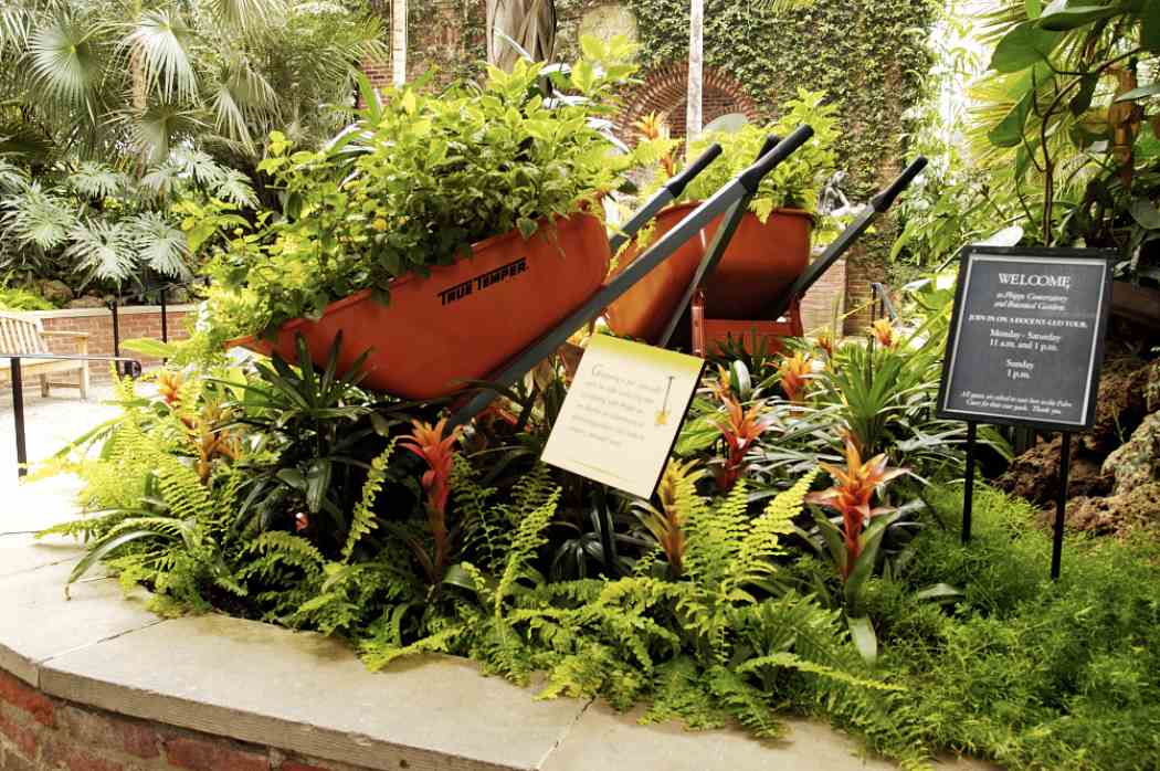 Summer Flower Show 2005: Dig Into Gardening