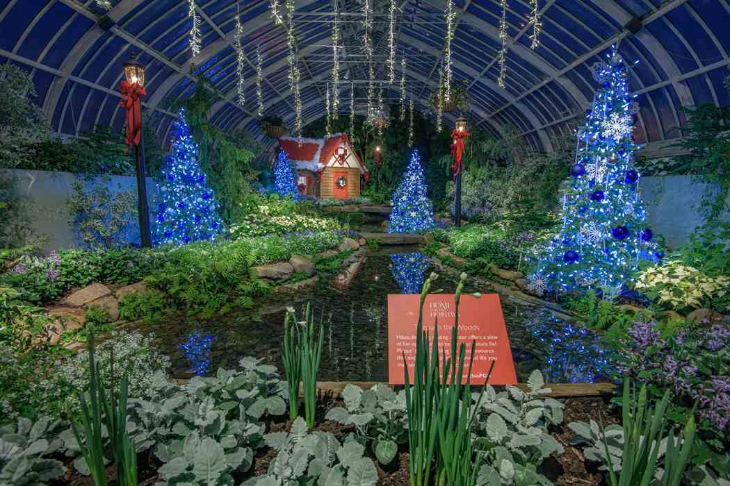 Winter Flower Show 2020: Home for the Holidays