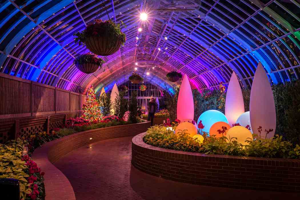 Winter Flower Show 2020: Home for the Holidays