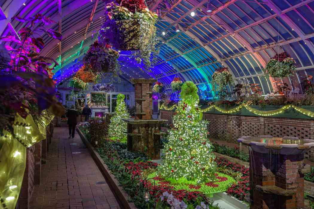 Winter Flower Show 2020: Home for the Holidays