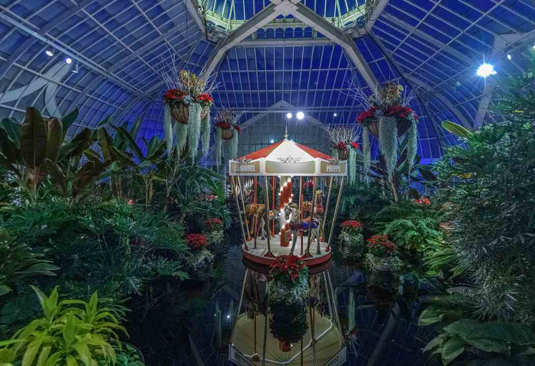 Winter Flower Show 2020: Home for the Holidays