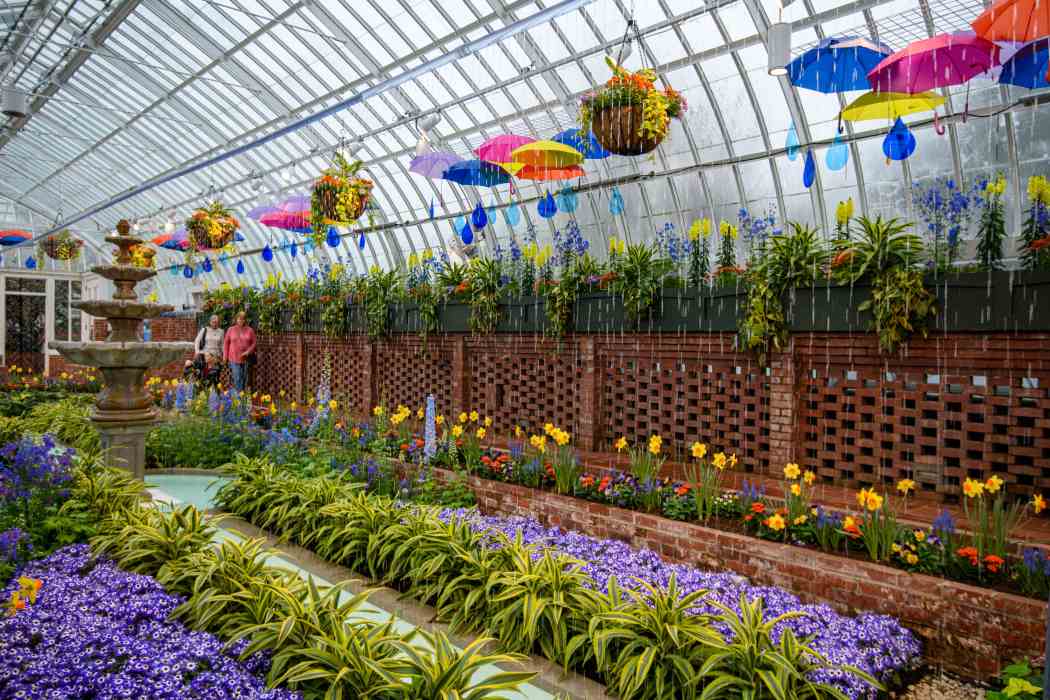 Spring Flower Show 2026: True Colors