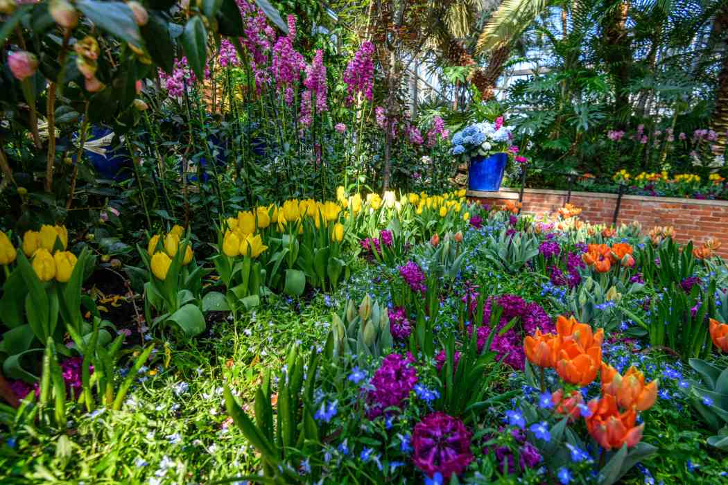 Spring Flower Show 2026: True Colors