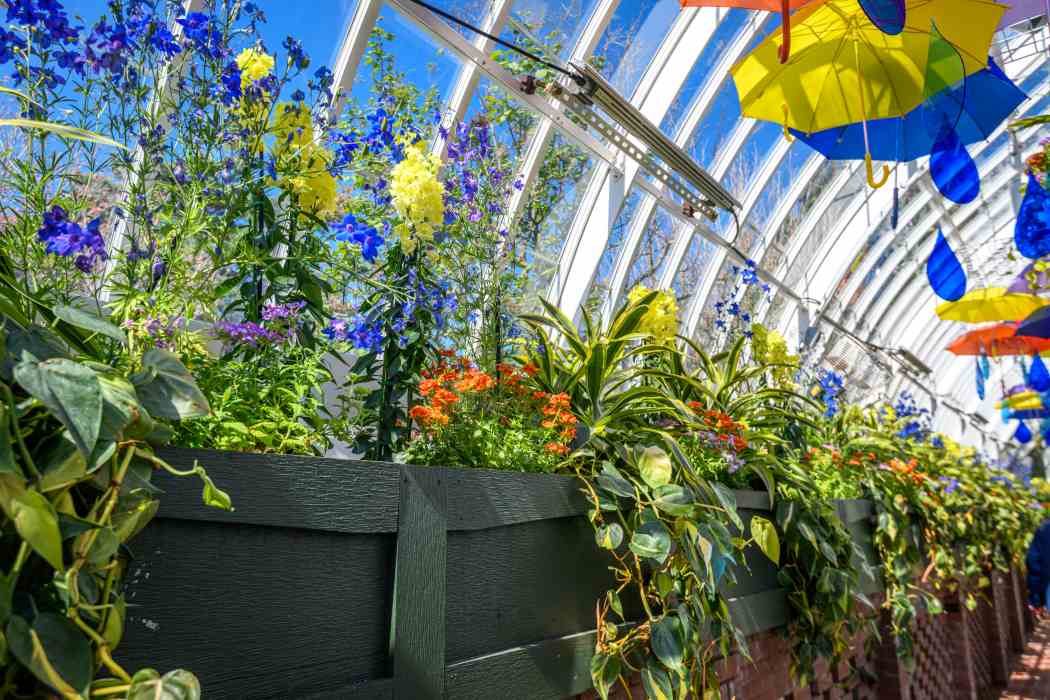Spring Flower Show 2026: True Colors