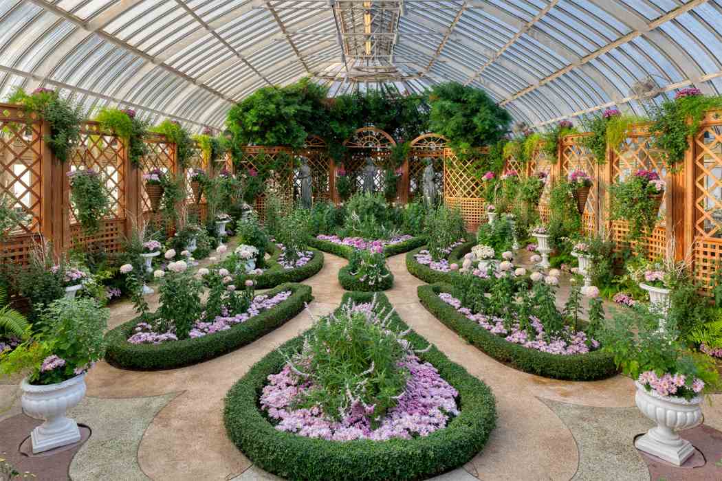 Fall Flower Show 2020: The Poetry of Nature