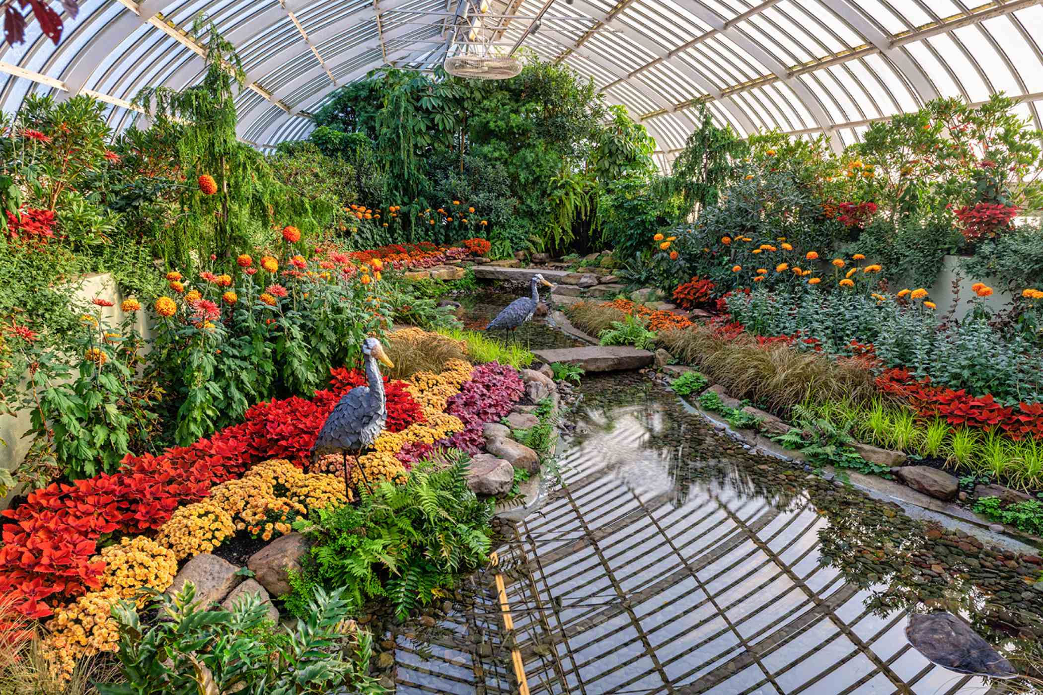 Fall Flower Show 2020 The Poetry of Nature Phipps Conservatory and