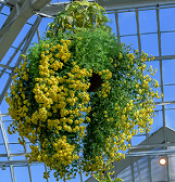 Fall Flower Show: The Poetry of Nature Fall Flower Show: The Poetry of Nature