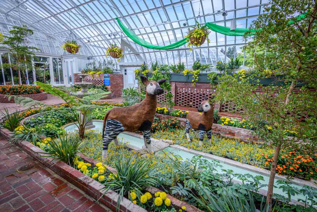 Summer Flower Show 2025: Jungle Quest