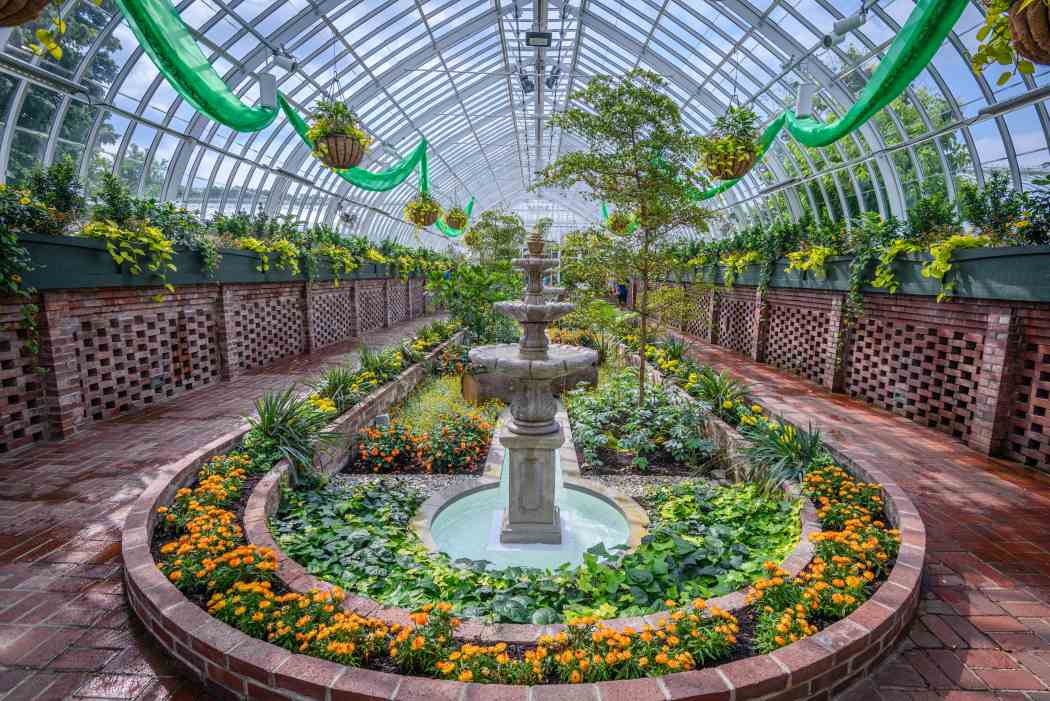 Summer Flower Show 2025: Jungle Quest