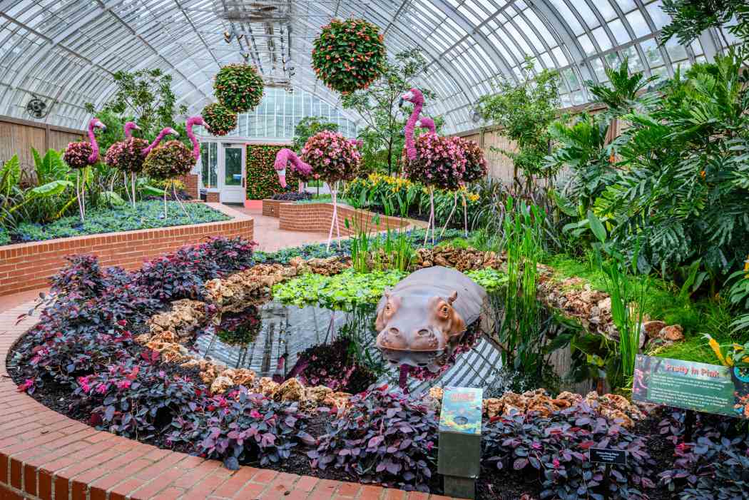 Summer Flower Show 2025: Jungle Quest