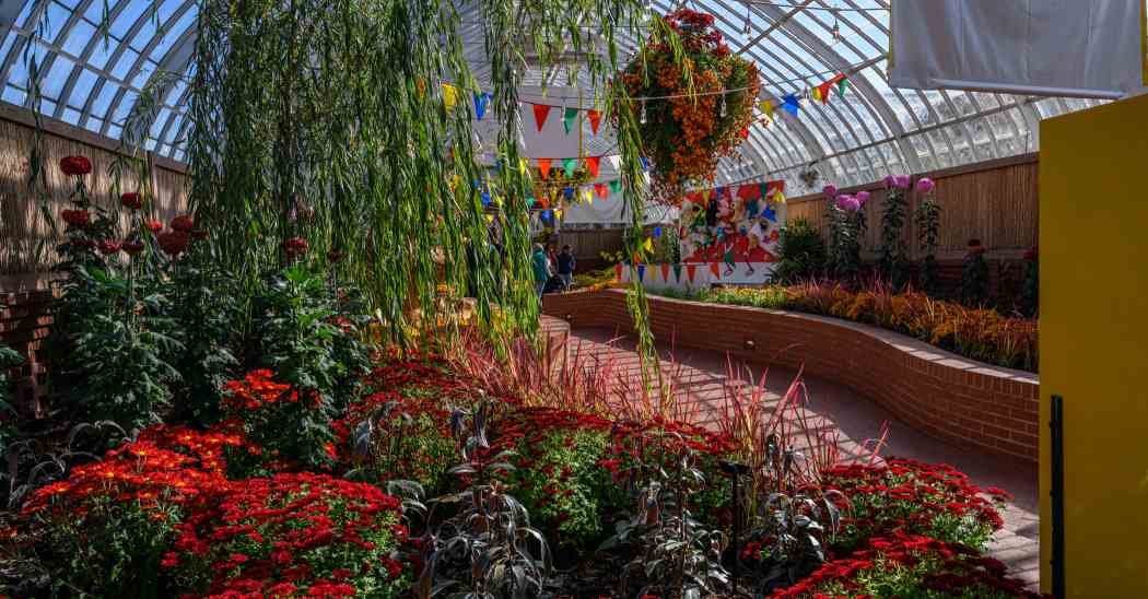 Fall Flower Show 2022: Blooms Under the Big Top