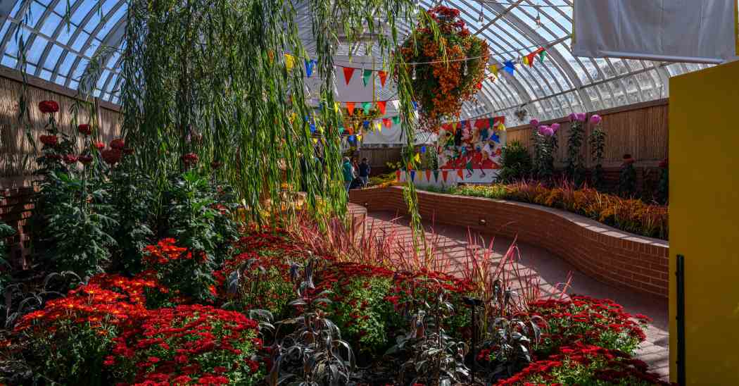 Fall Flower Show 2022: Blooms Under the Big Top Fall Flower Show 2022: Blooms Under the Big Top