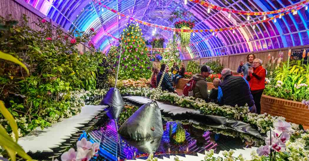 Winter Flower Show and Light Garden 2022: Holiday Magic! Arctic Adventure