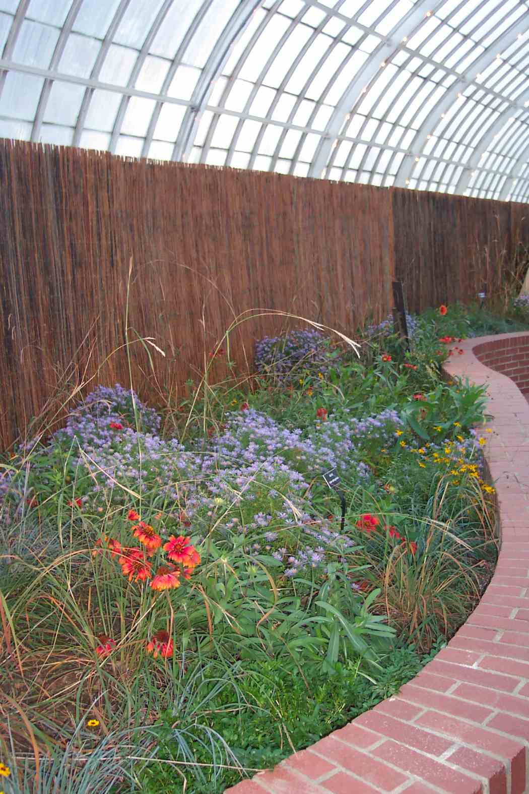 Fall Flower Show 2003: Still Growing After All These Years