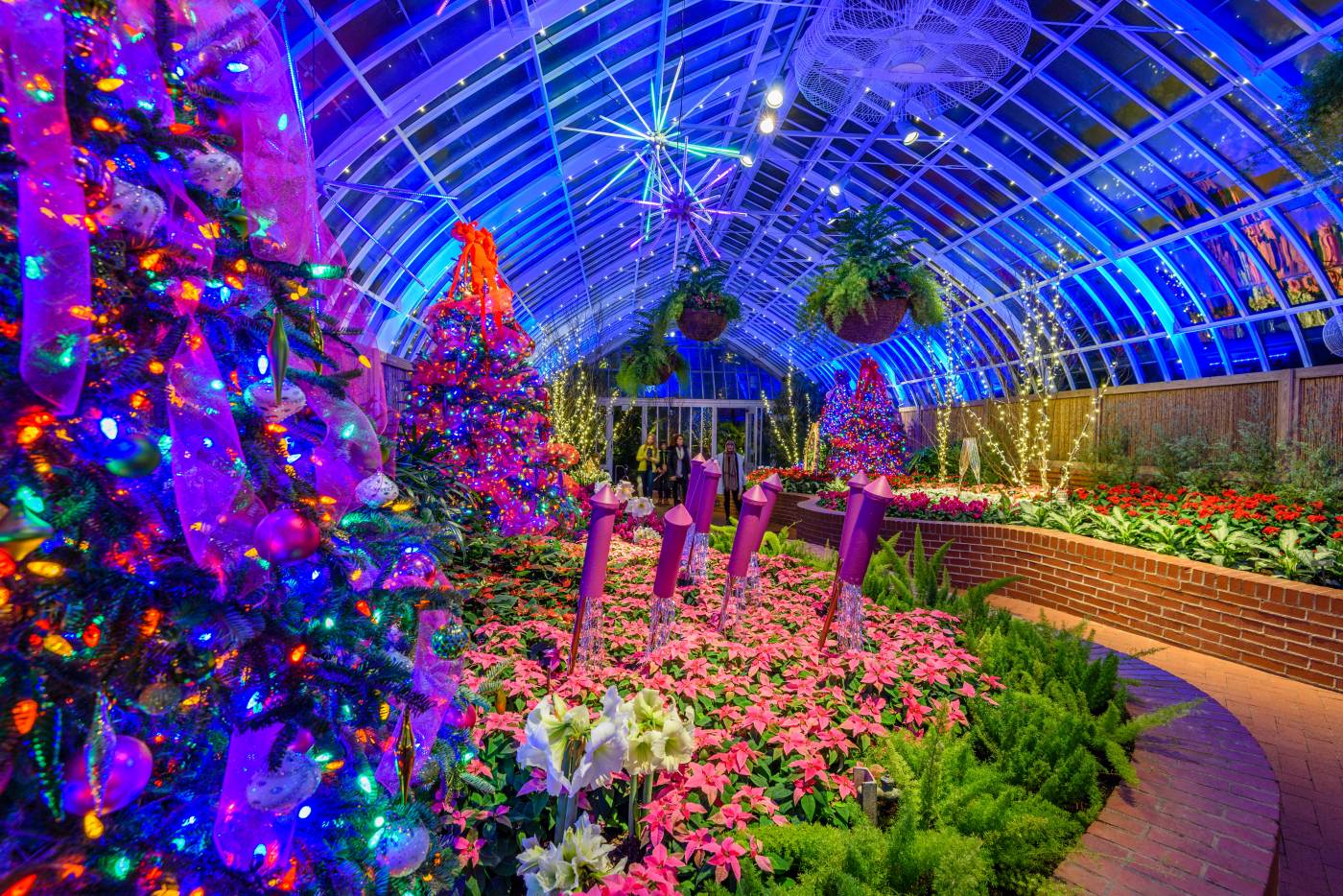 Holiday Magic Let It Glow! Phipps Conservatory and Botanical Gardens